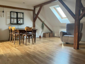 Apartmán MUV, Melnik